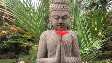 Silent Retreat with Meditation and Satsang